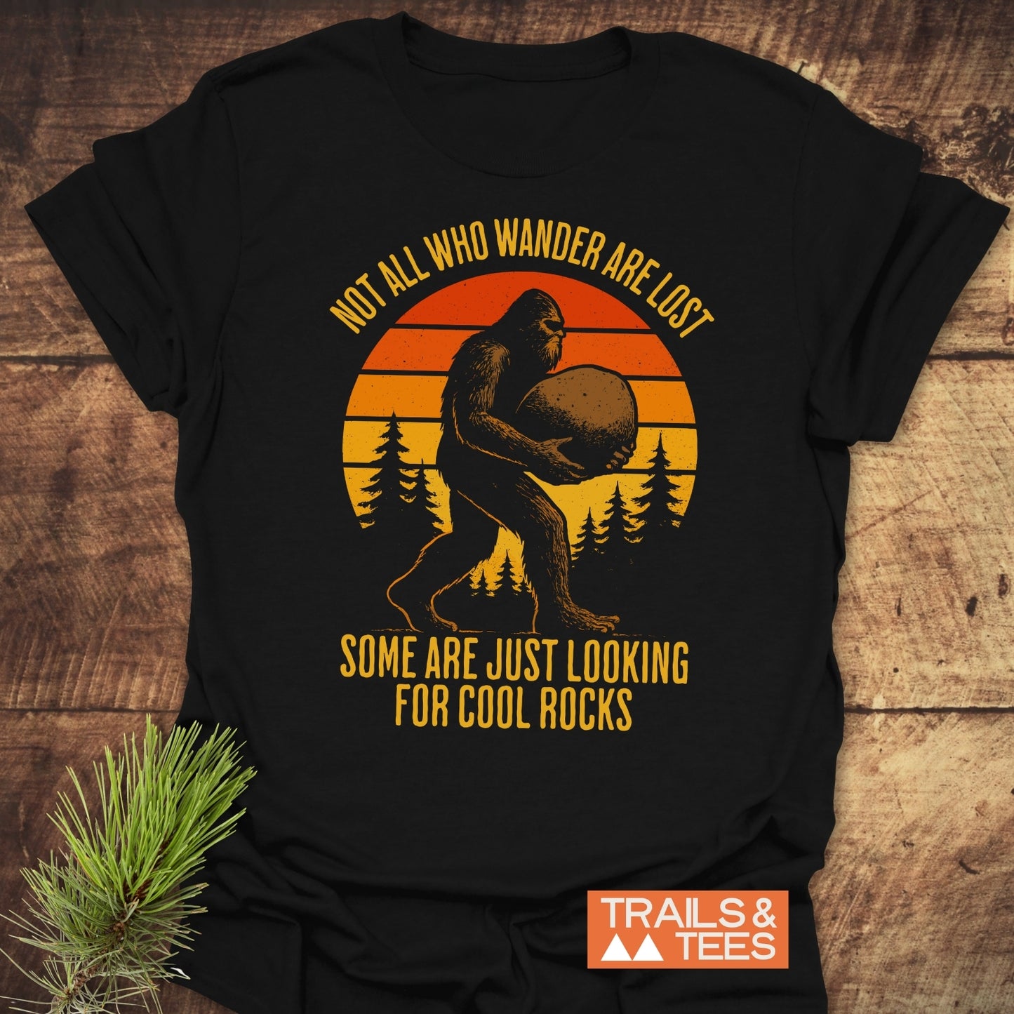 Looking For Cool Rocks T-Shirt