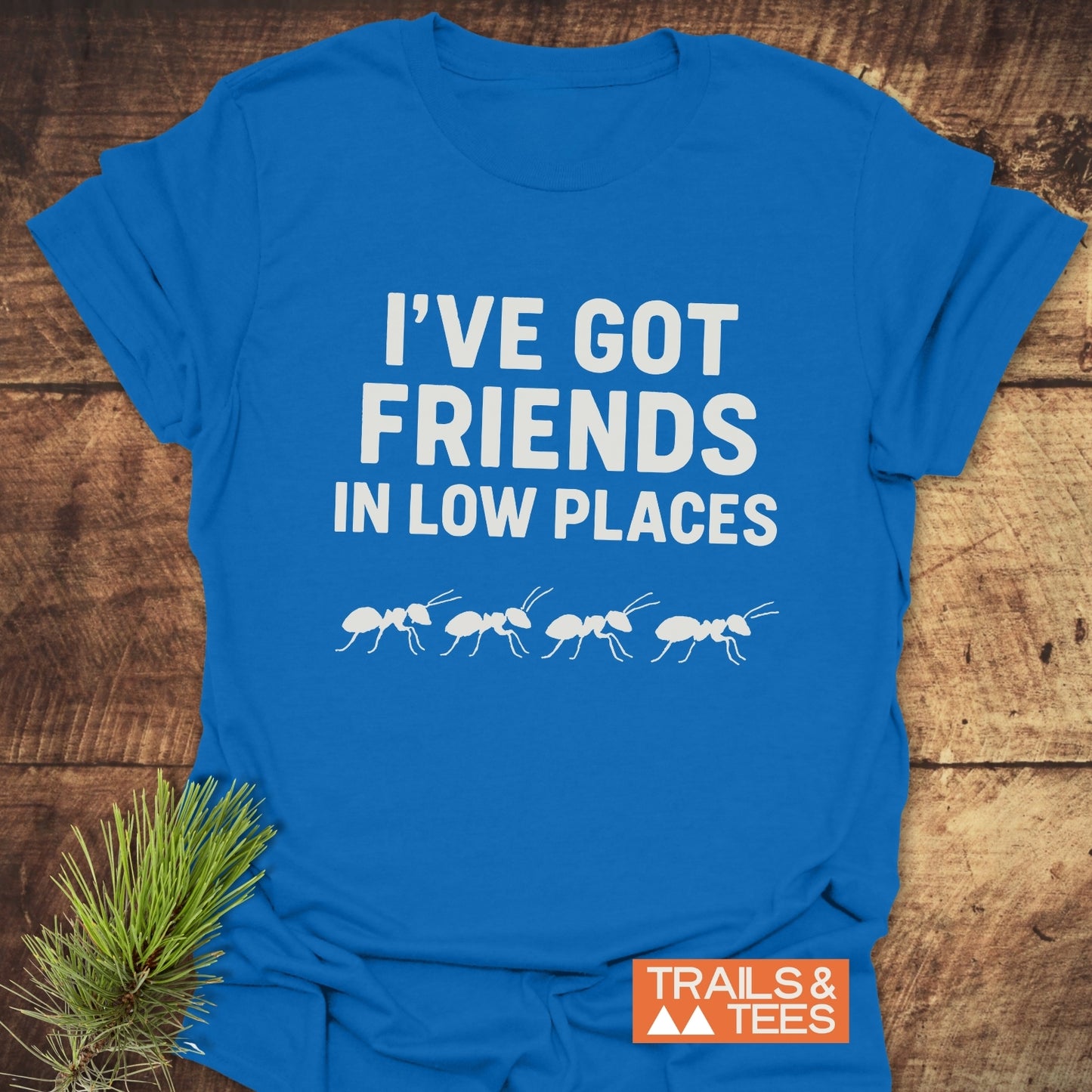Friends In Low Places Funny T-Shirt