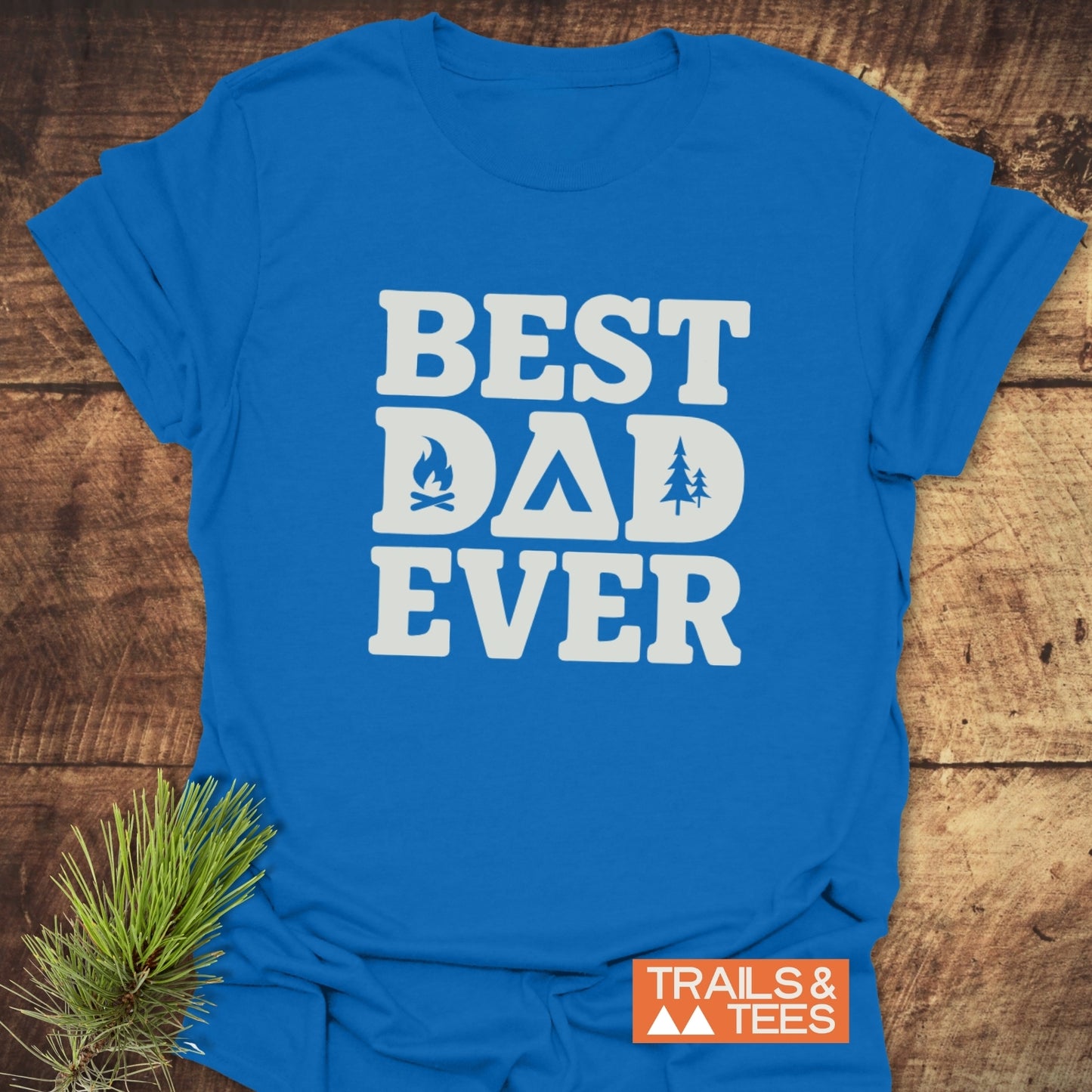 Best Dad Ever Camping T-Shirt