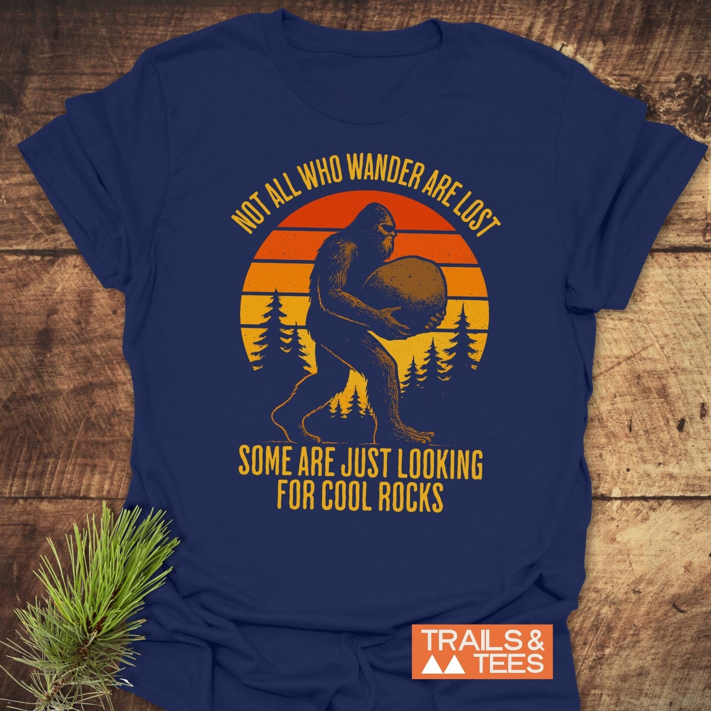 Looking For Cool Rocks T-Shirt