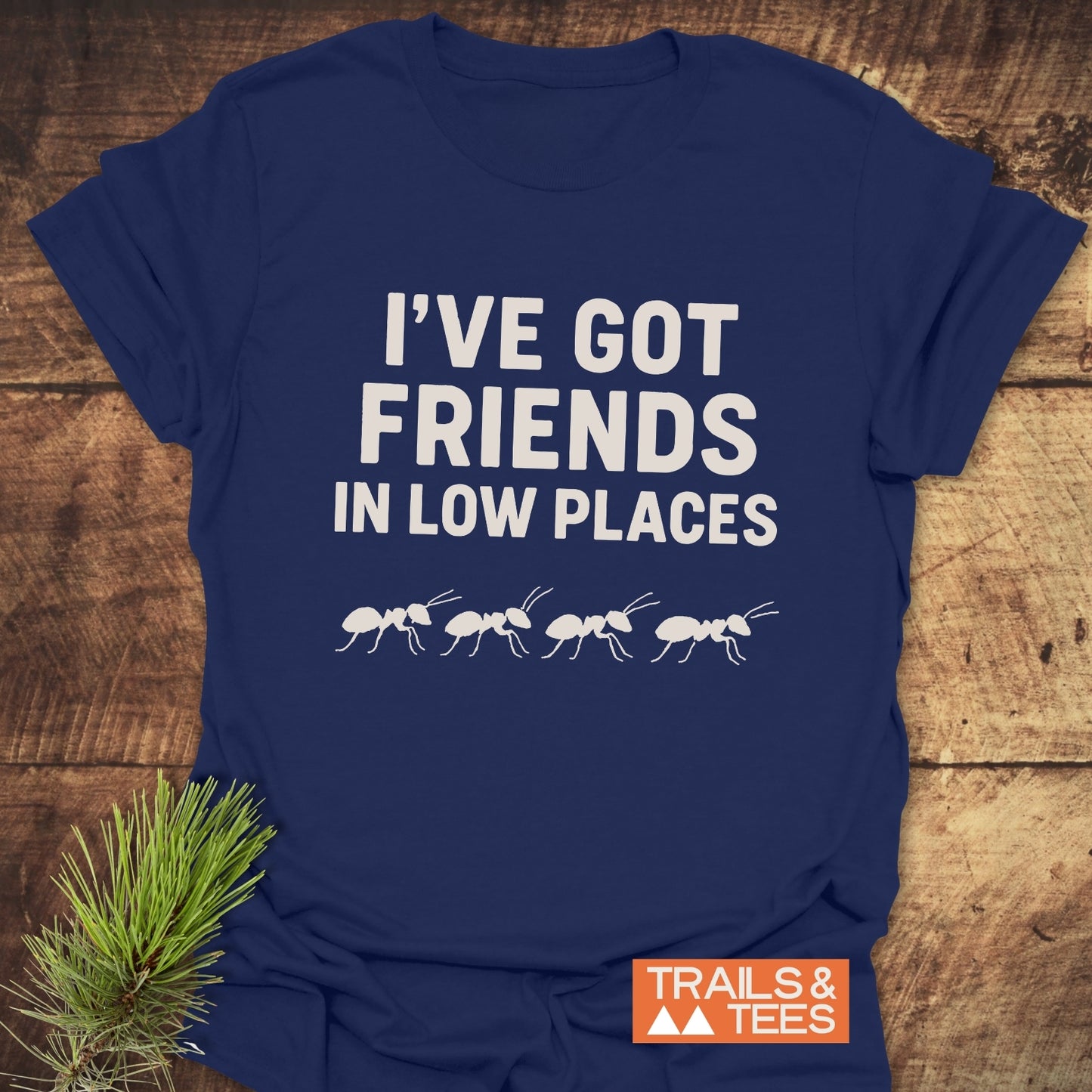 Friends In Low Places Funny T-Shirt