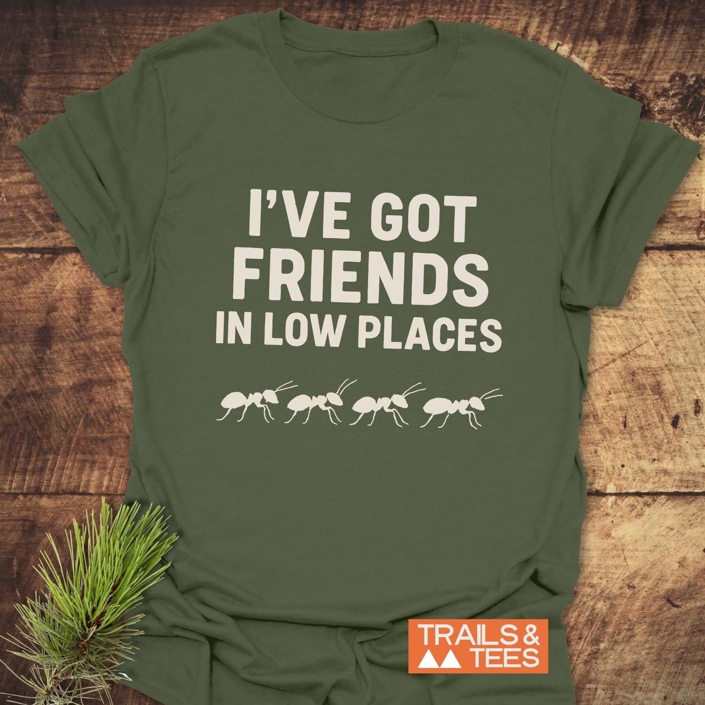 Friends In Low Places Funny T-Shirt