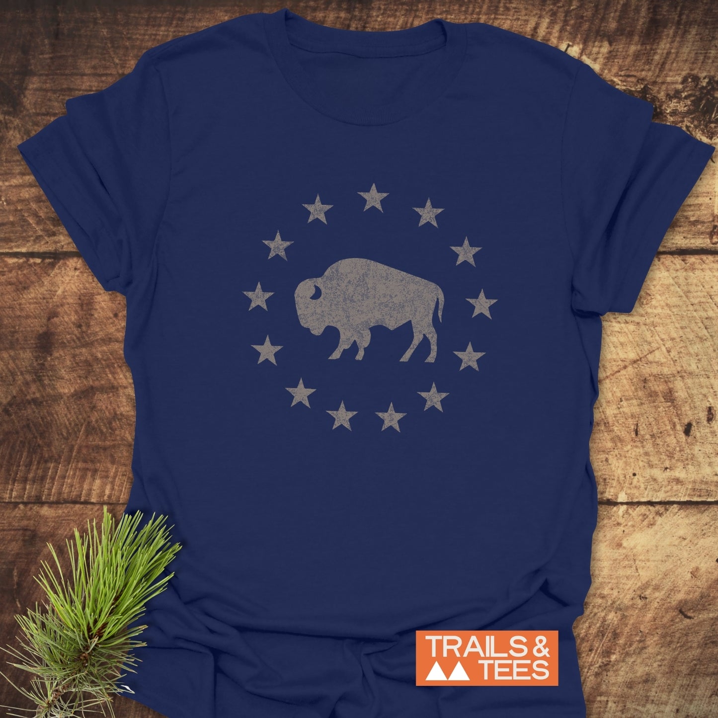 Born to Roam – Vintage Bison T-Shirt