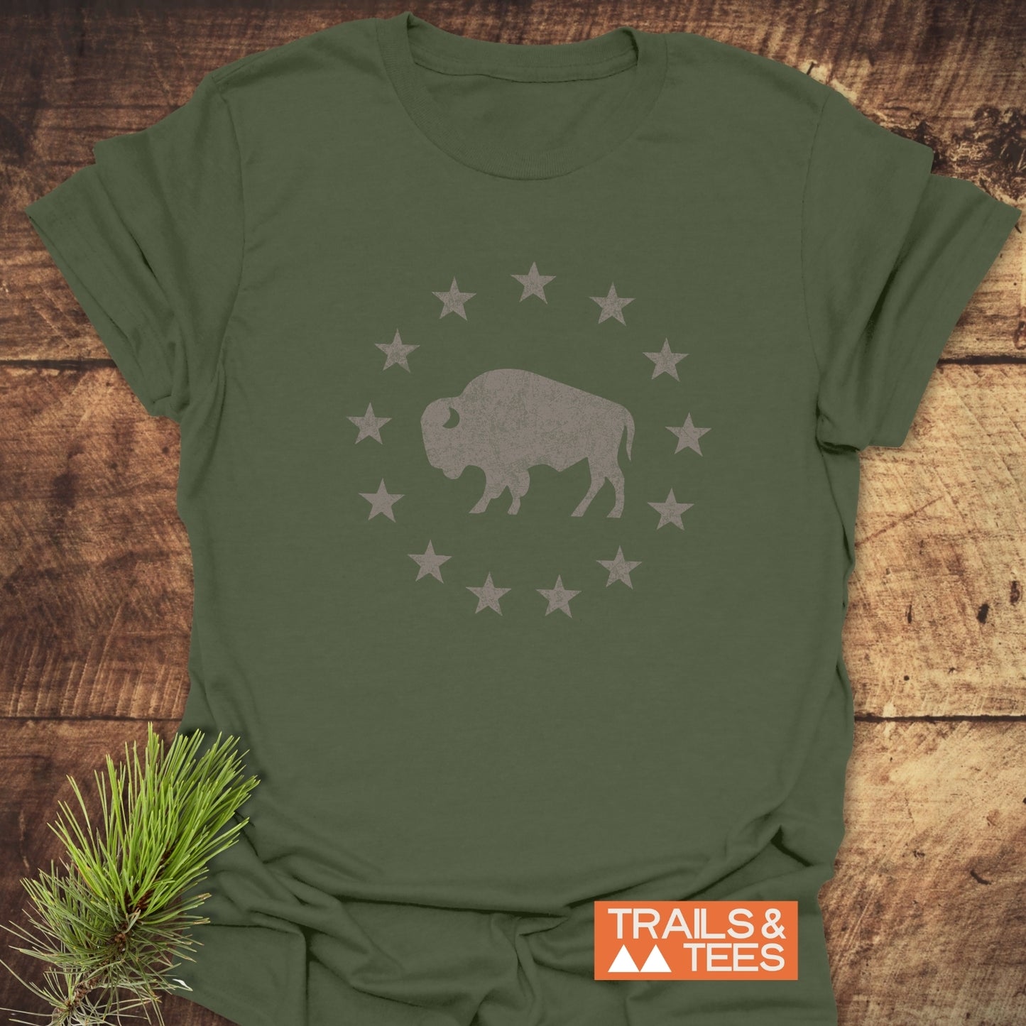 Born to Roam – Vintage Bison T-Shirt