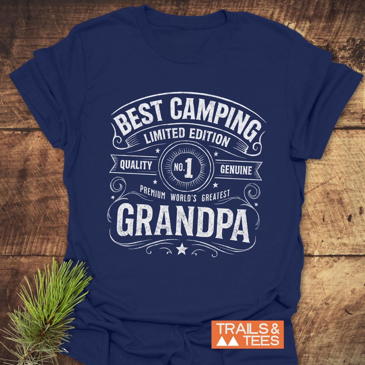 Best Camping Grandpa T-Shirt