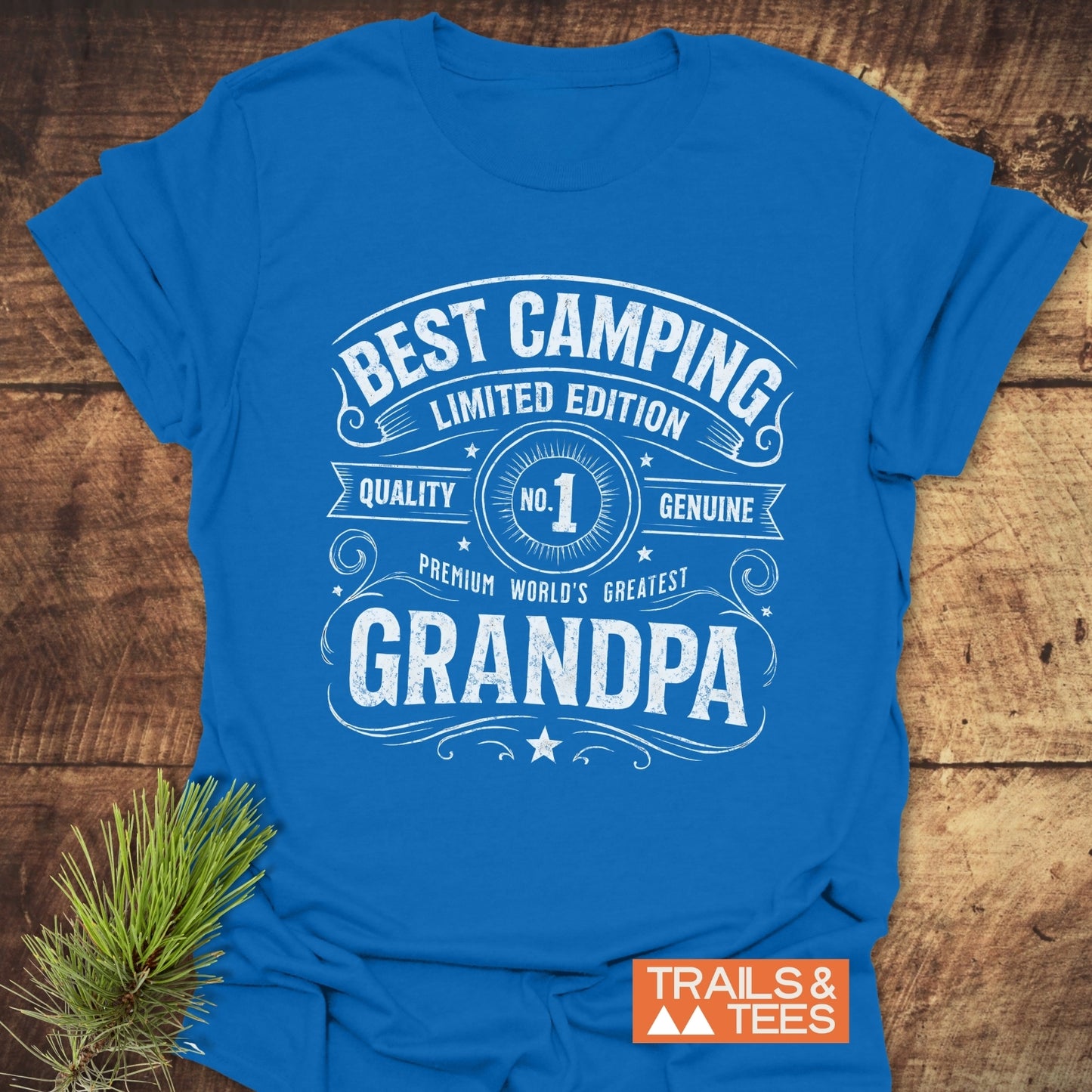 Best Camping Grandpa T-Shirt